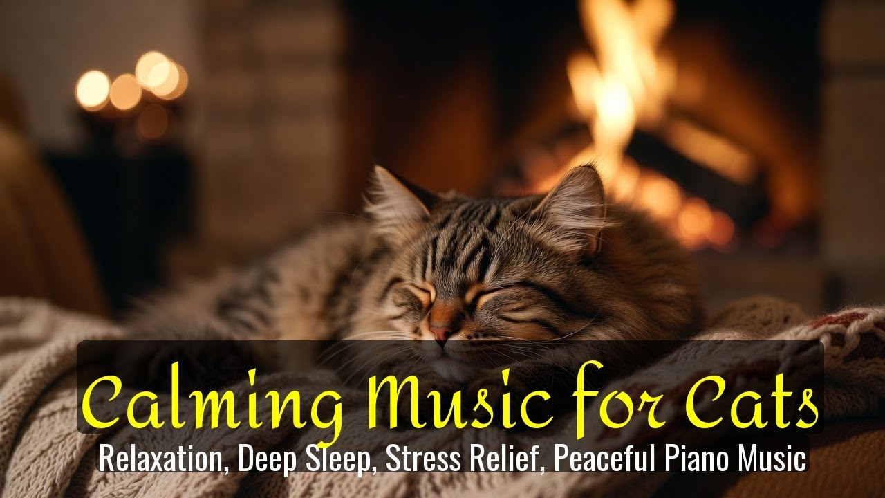 Calming Music for Cats - Relaxation, Deep Sleep, Stress Relief, Peaceful Piano Music | Season 63