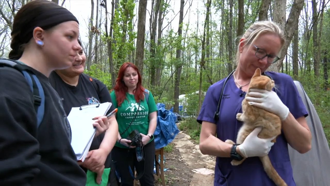 Chattanooga nonprofit launches program to help animals in homeless communities