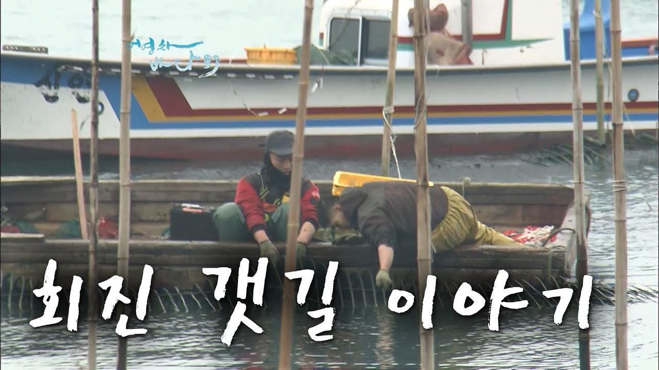 회진 갯길 이야기 #장흥 #득량만 #노력도 #감성돔 [어영차바다야]