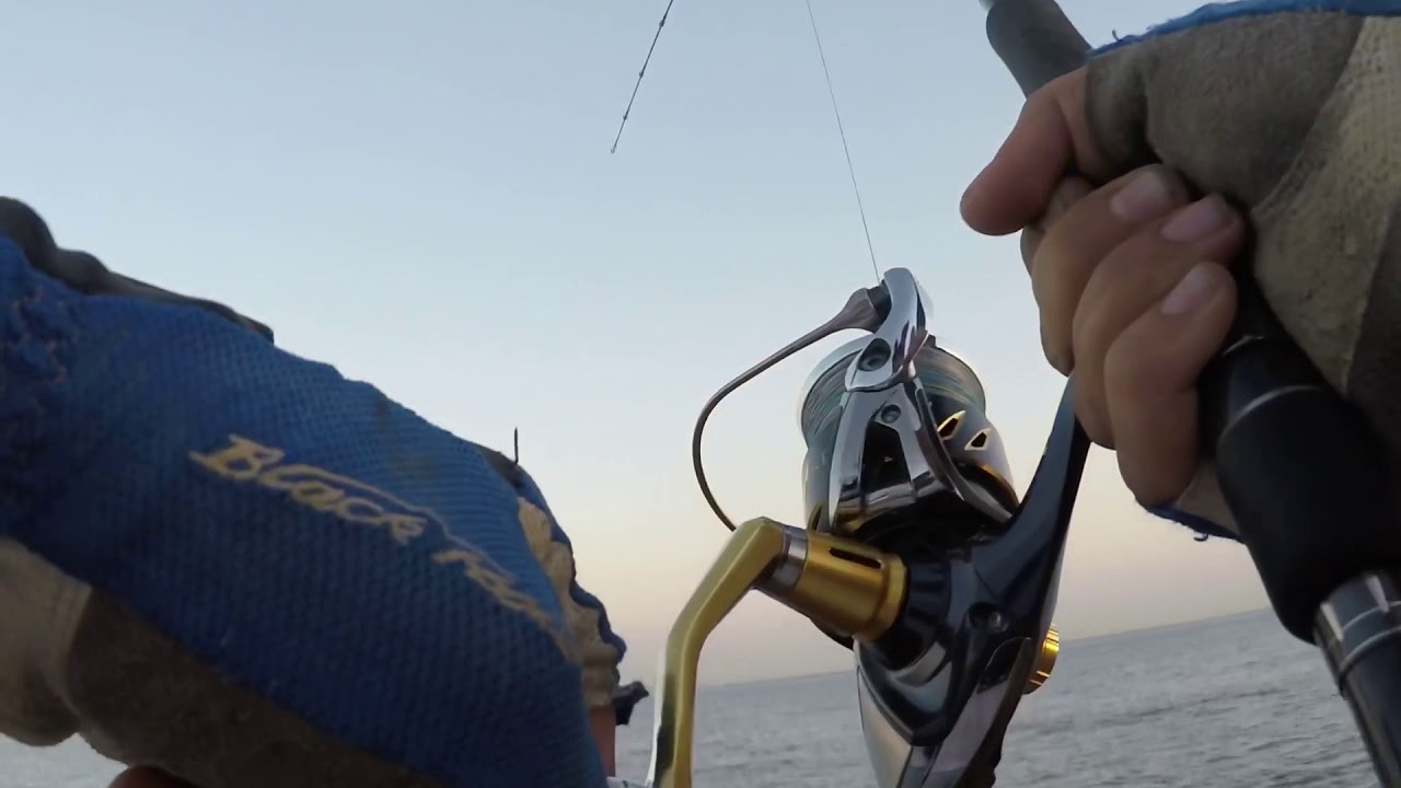 Shore jigging Israel - 3.7kg tunny