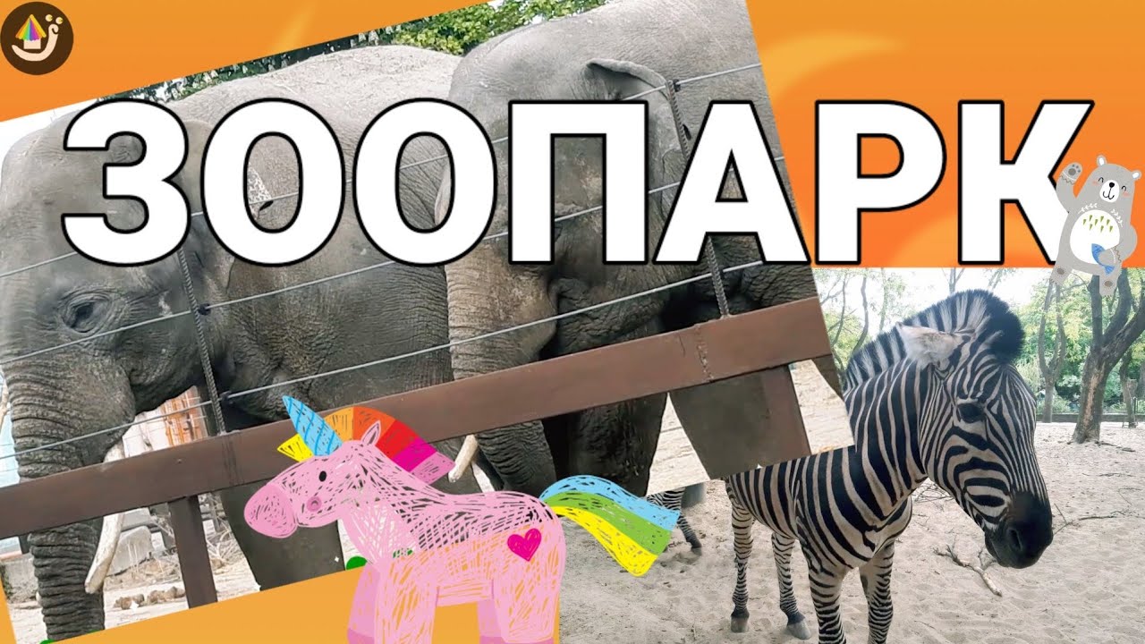 Миколаївський ЗООПАРК. Пізнавальний розвиток. Відео для дітей про диких тварин.  Дикі тварини.