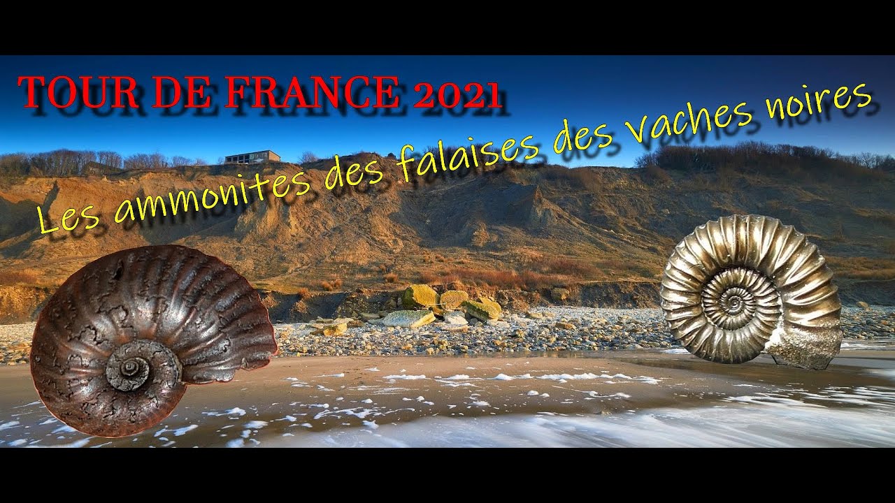 [ROAD TRIP] le trésor des vaches noires, défi 1 (épisode 2)
