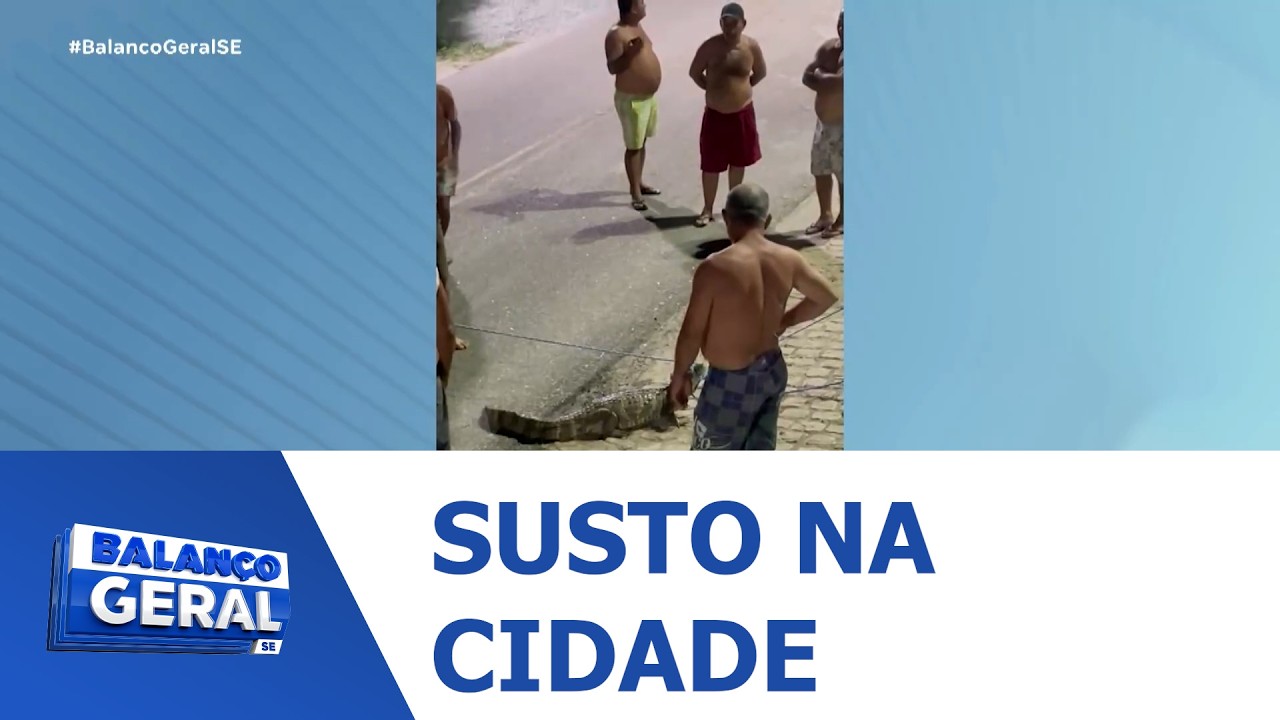 Moradores capturam um jacaré em área urbana da cidade - BGT