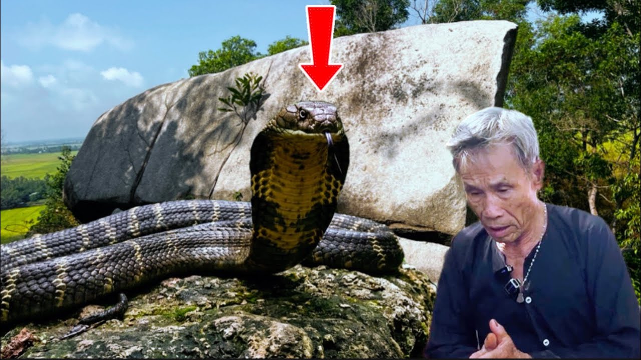 Thầy bùa lỗ ban luyện thiên linh CÁI và sự thật về rắn hổ mây chúa vùng 7 núi qua lời kể chú 6