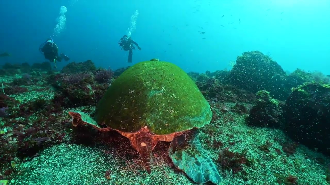 本日の海（2026 02 21）秋の浜・トウシキ・王の浜