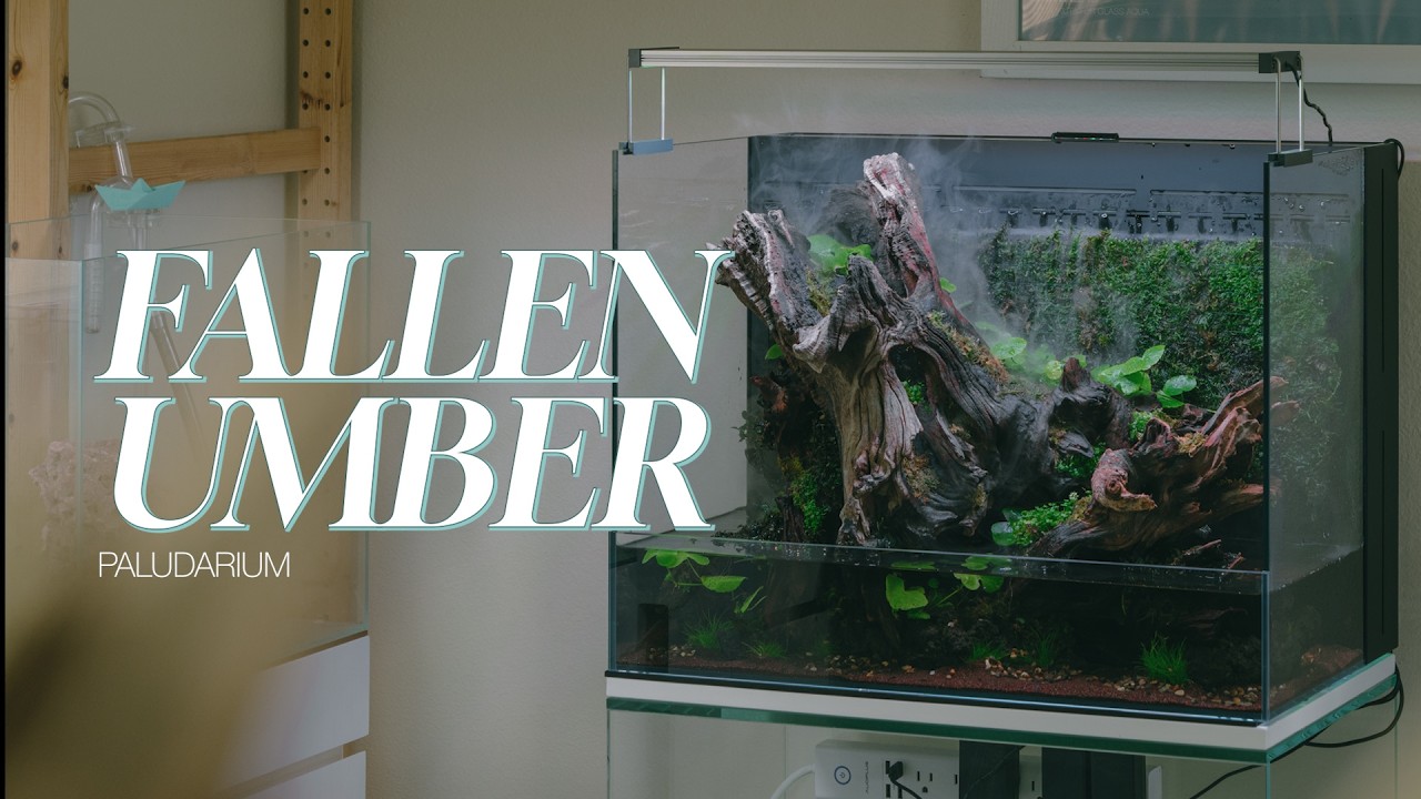 Ultum Nature Systems UNS Foresta 60E Paludarium Setup