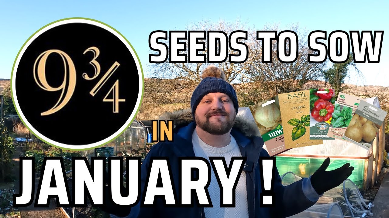 Sowing and Growing in January
