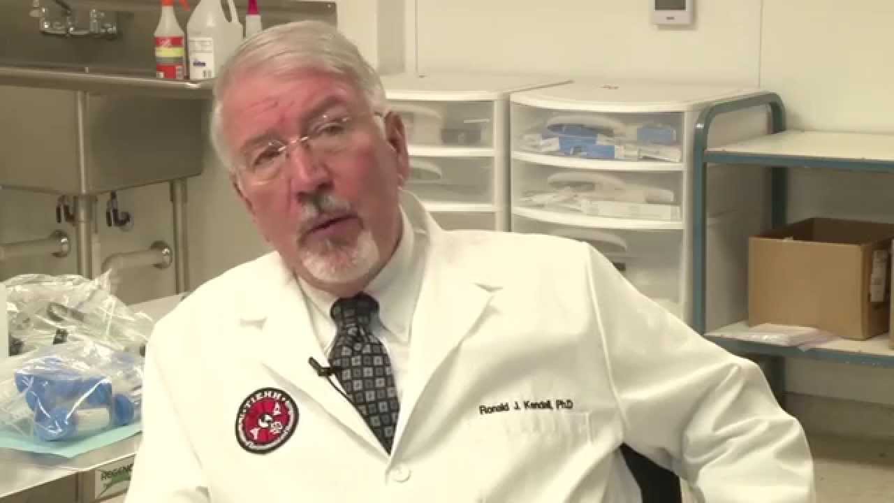 Texas Tech Researchers Discover Blood-Sucking Parasite Epidemic in Wild Quail