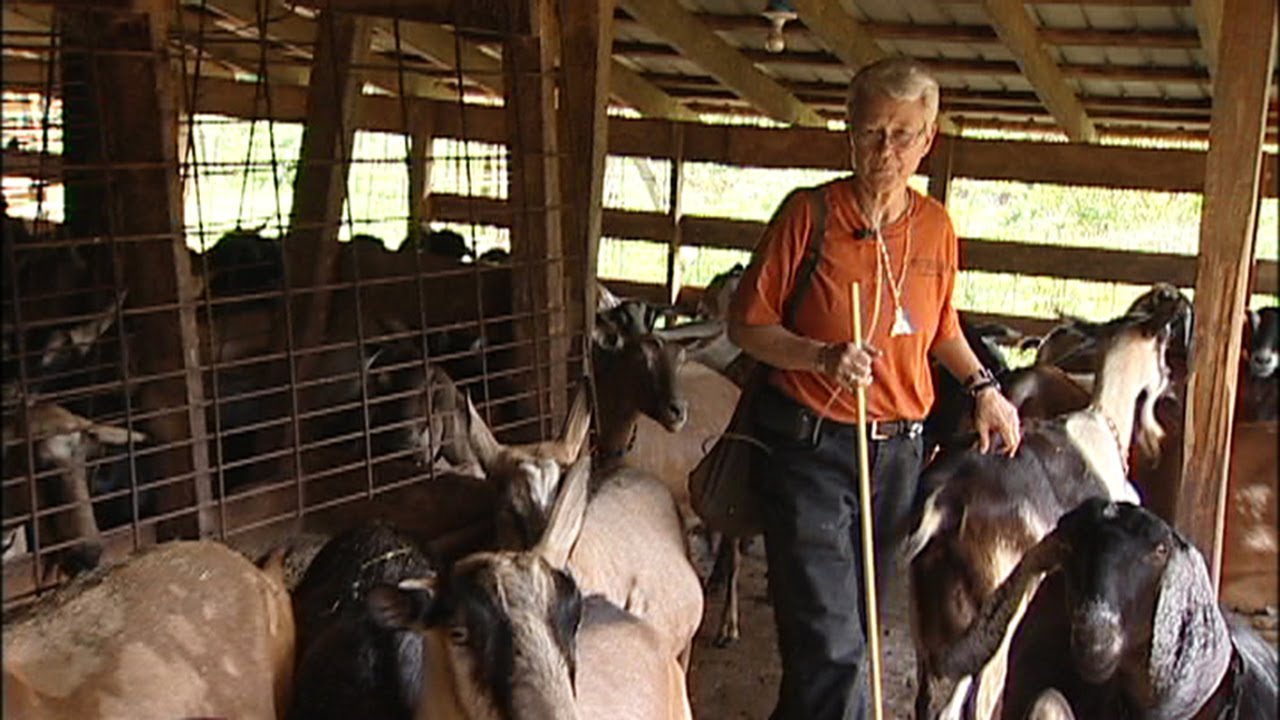 Evin J. Evans and her Goats