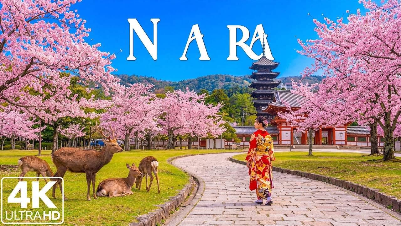 Nara 4K 🇯🇵 Peaceful Japan – Sacred Temples, Friendly Deer & Timeless Nature  | Relaxing Music