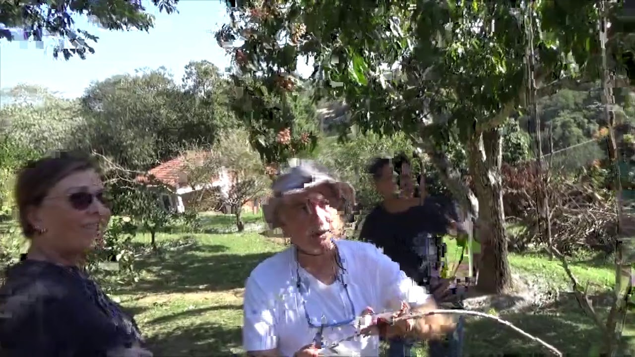 1248 ) –  PODA DA MACIEIRA E GOIABEIRA – MAIRINQUE - SÃO PAULO