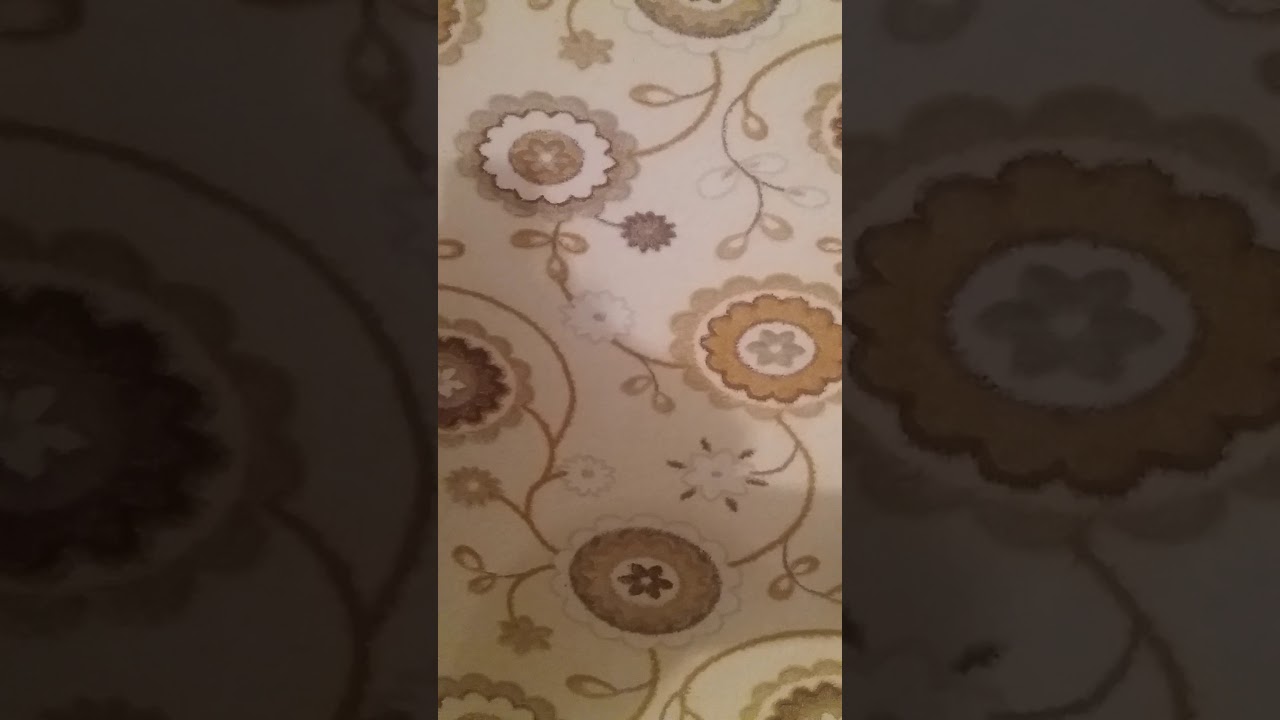 ANİ KORKU