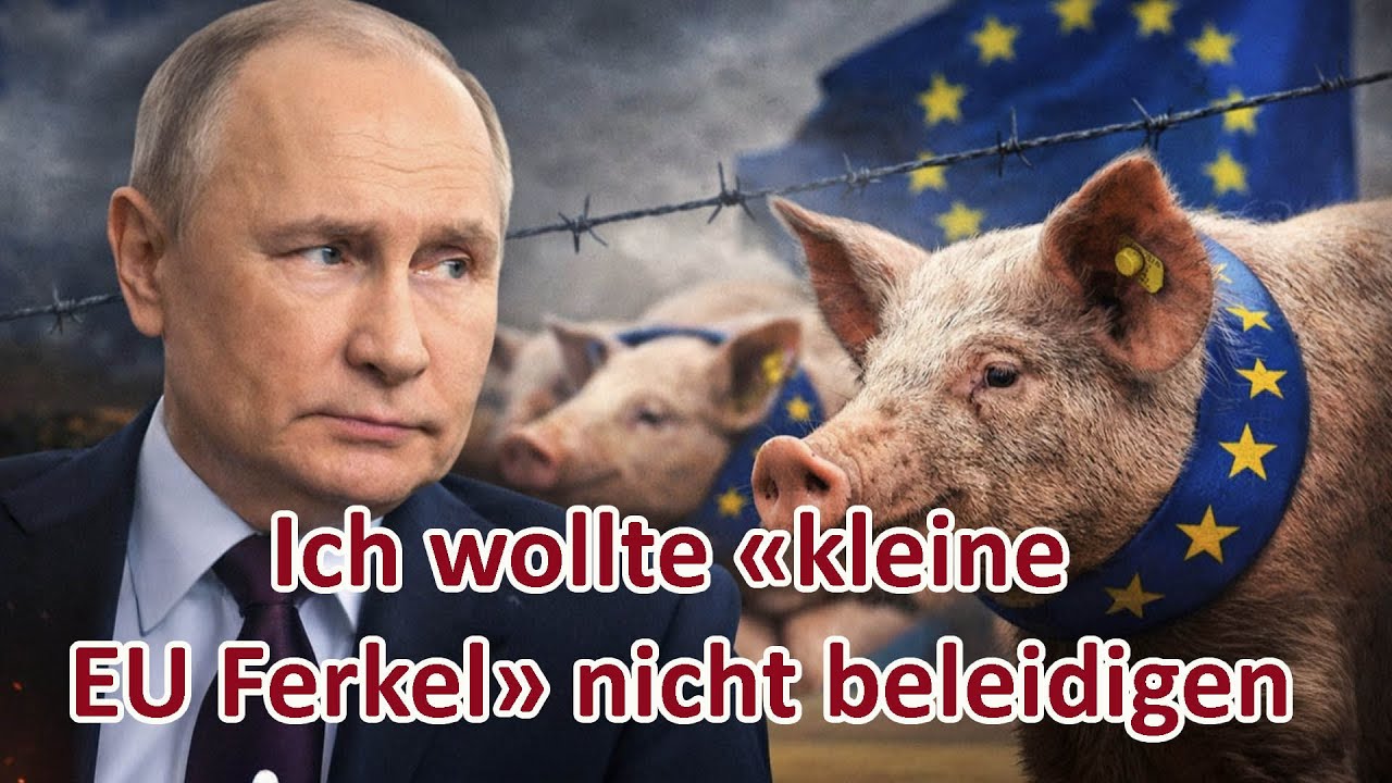 Wladimir Putin: Ich wollte &laquo;kleine EU Ferkel&raquo; nicht beleidigen