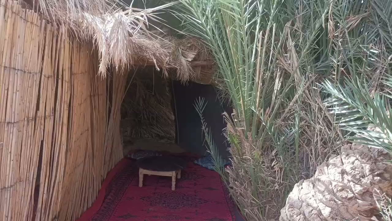 Back to the Desert