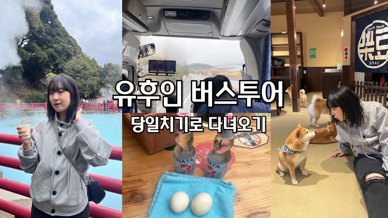 유후인 버스투어🚌 후쿠오카 당일치기 여행 ! 여기는 일본인가 한국인가
