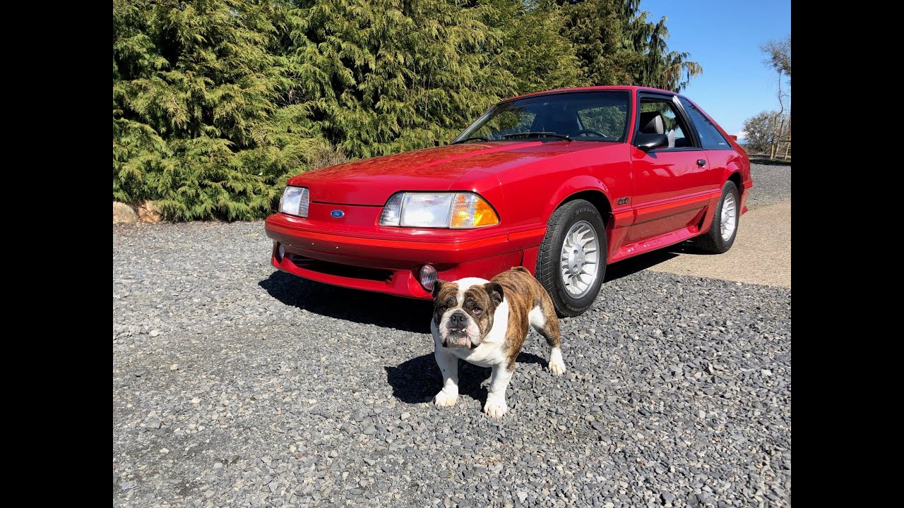 1987 Ford Mustang GT 5.0 Fox Body — Денверкс