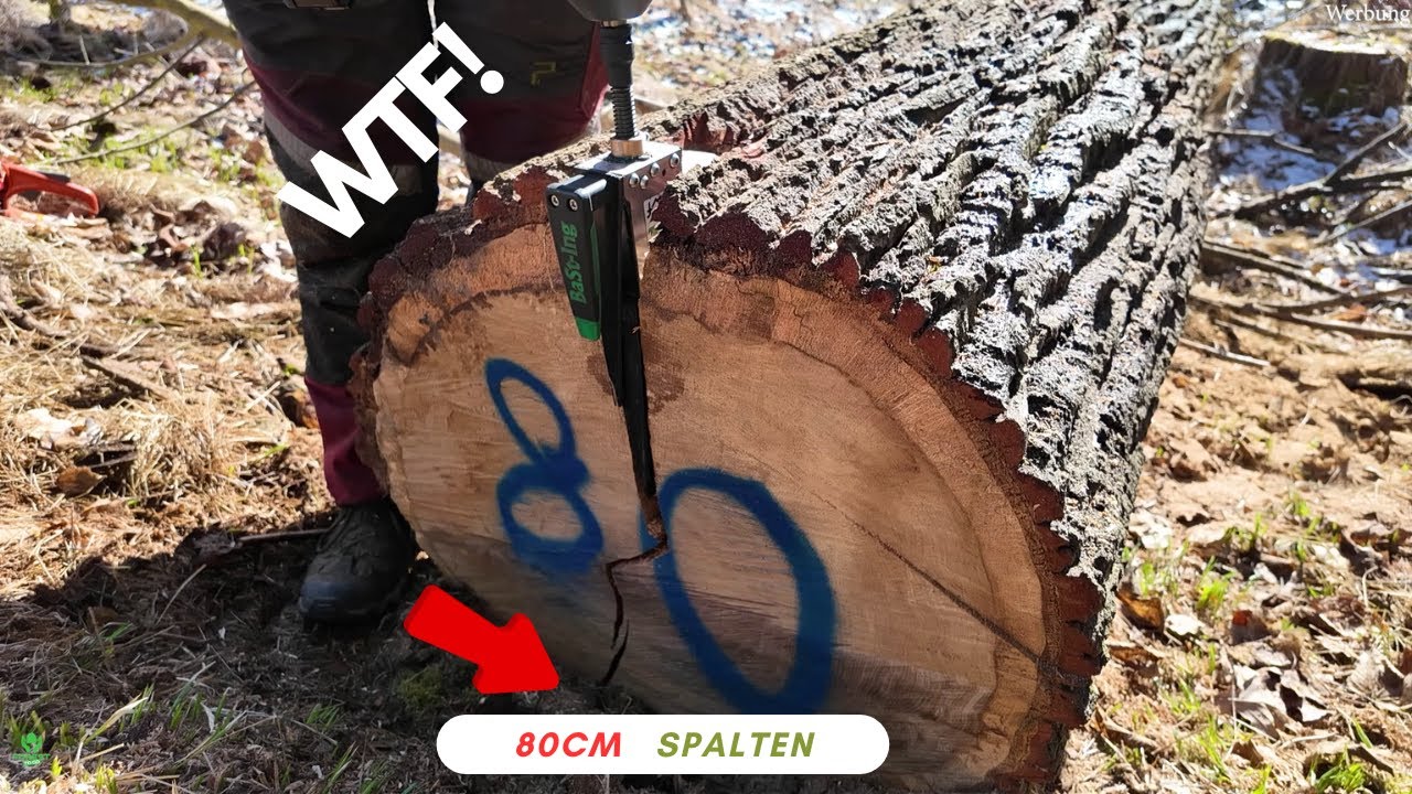 Starkholz spalten nur mit Bast-Ing Fällkeil und Spalthammer