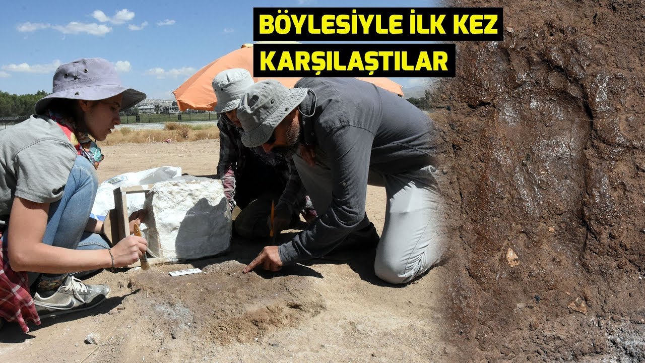 Van'da Urartuların ayak izine rastlandı