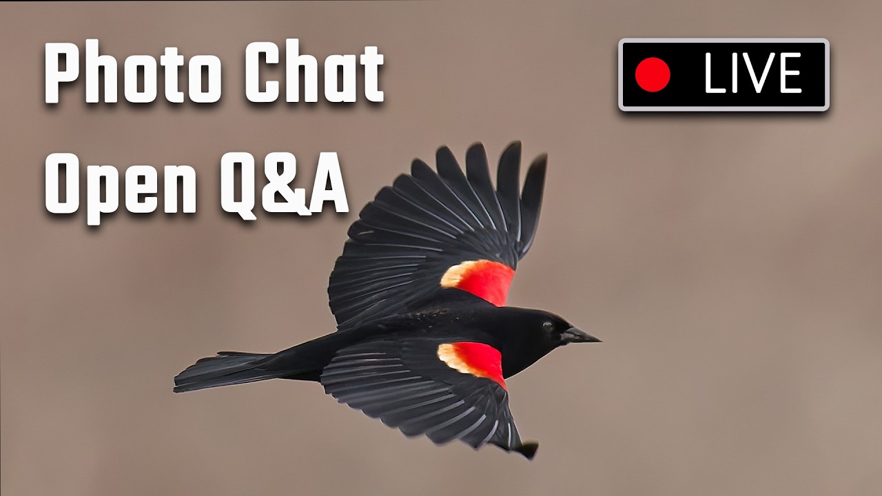 Photo Chat Live w/Open Q&A