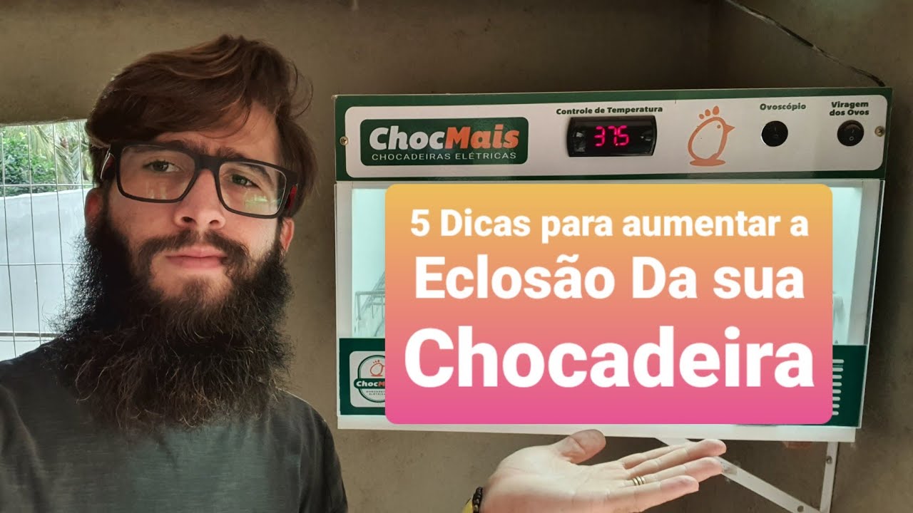 Chocadeira de Ovos ChocMais, Como Aumentar a Eclosão (5 Dicas)