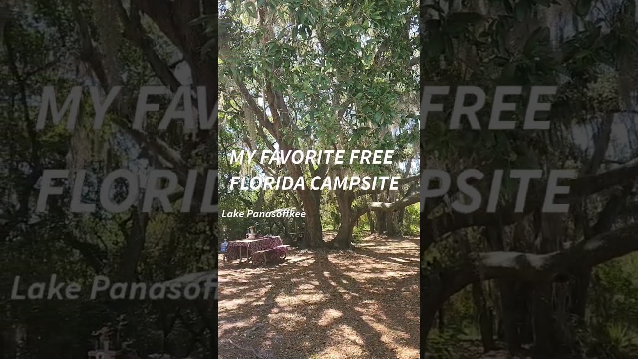 BEST Boondocking In Florida?? Flush Toilets, Dumpsters, Hiking & Lots Of Space... For FREE!!