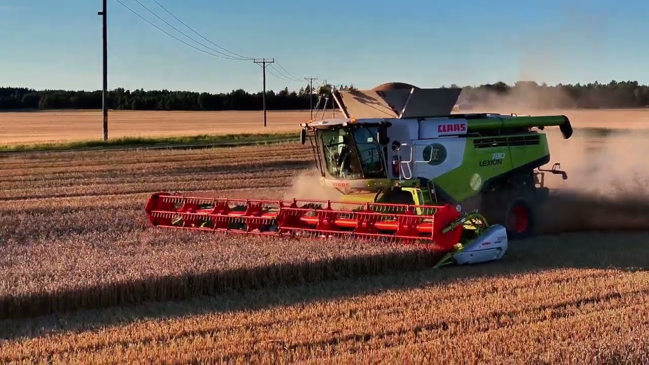 Harvest season in Sweden 2024