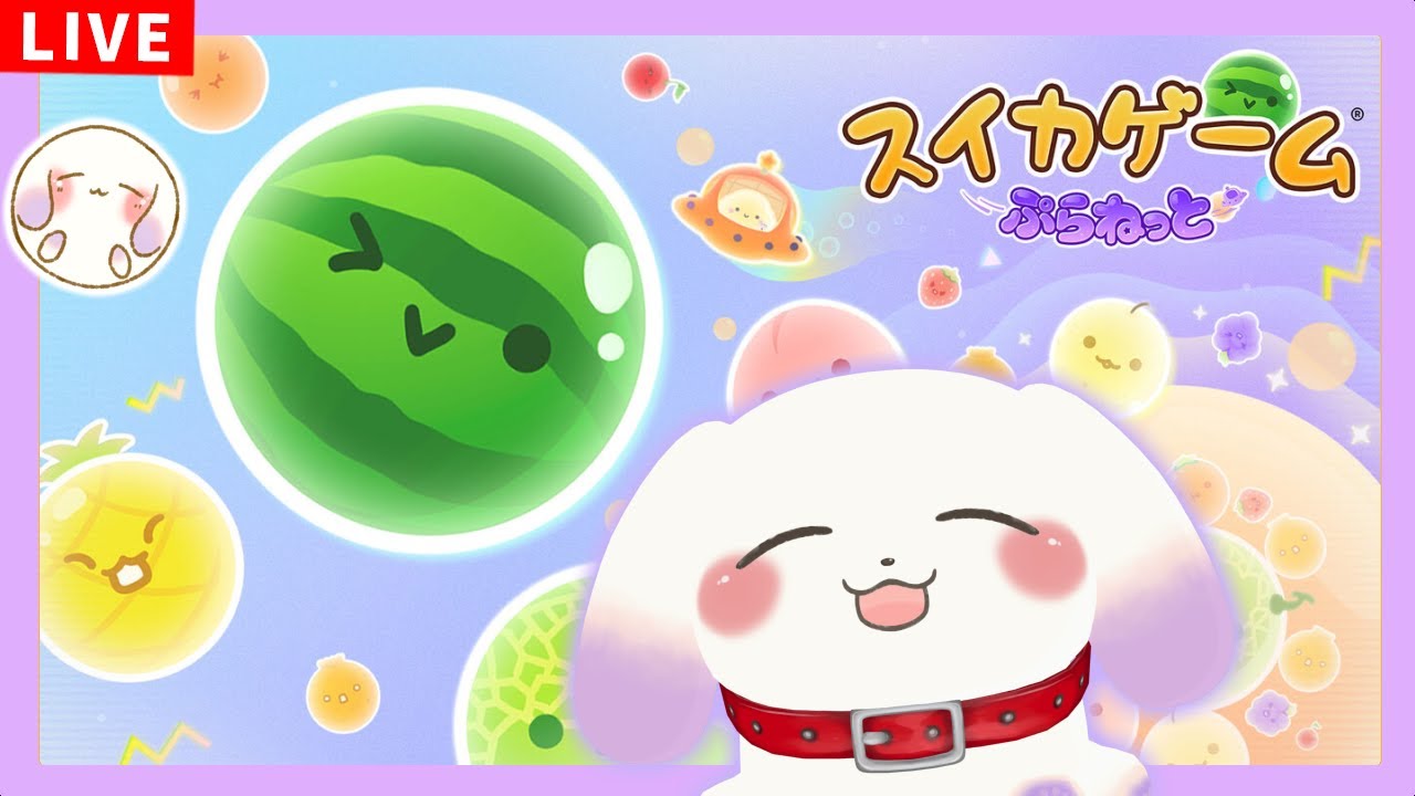【スイカゲーム ぷらねっと】宇宙で犬もシンカしちゃうぞお～！【ててまる】