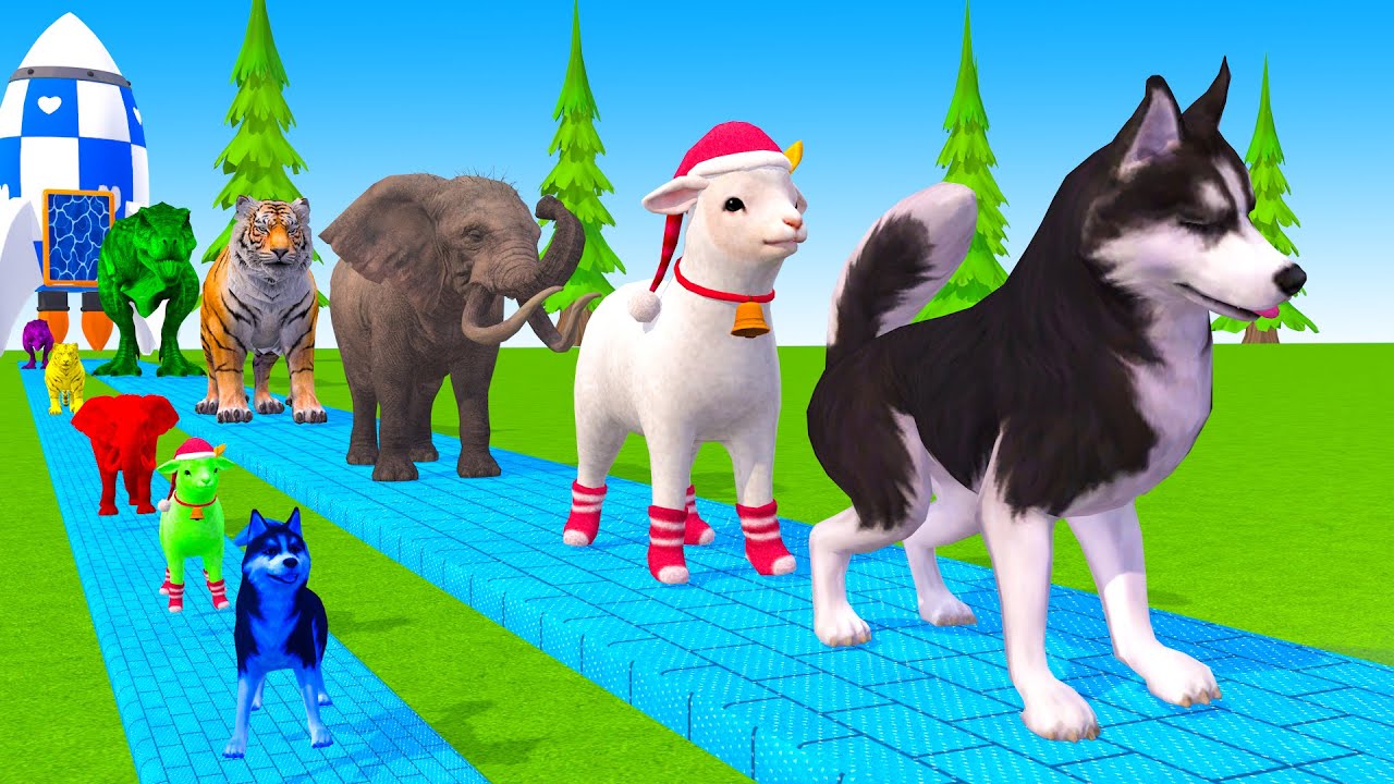 Long Slide Game With Cow Elephant Gorilla Hippopotamus Tiger 3d Animal Game Funny 3d Animals