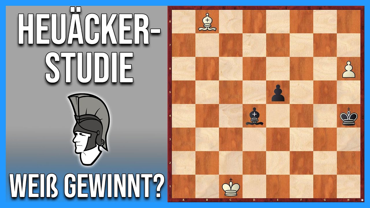 Weiß gewinnt? || Die wunderschöne Heuäcker-Studie