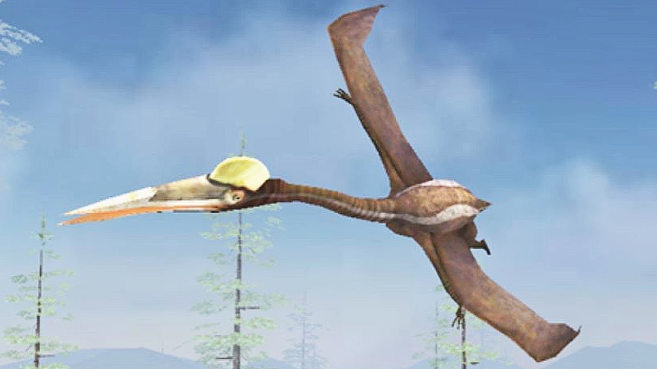 Pterosaur Flight Simulator 3D | Eftsei Gaming