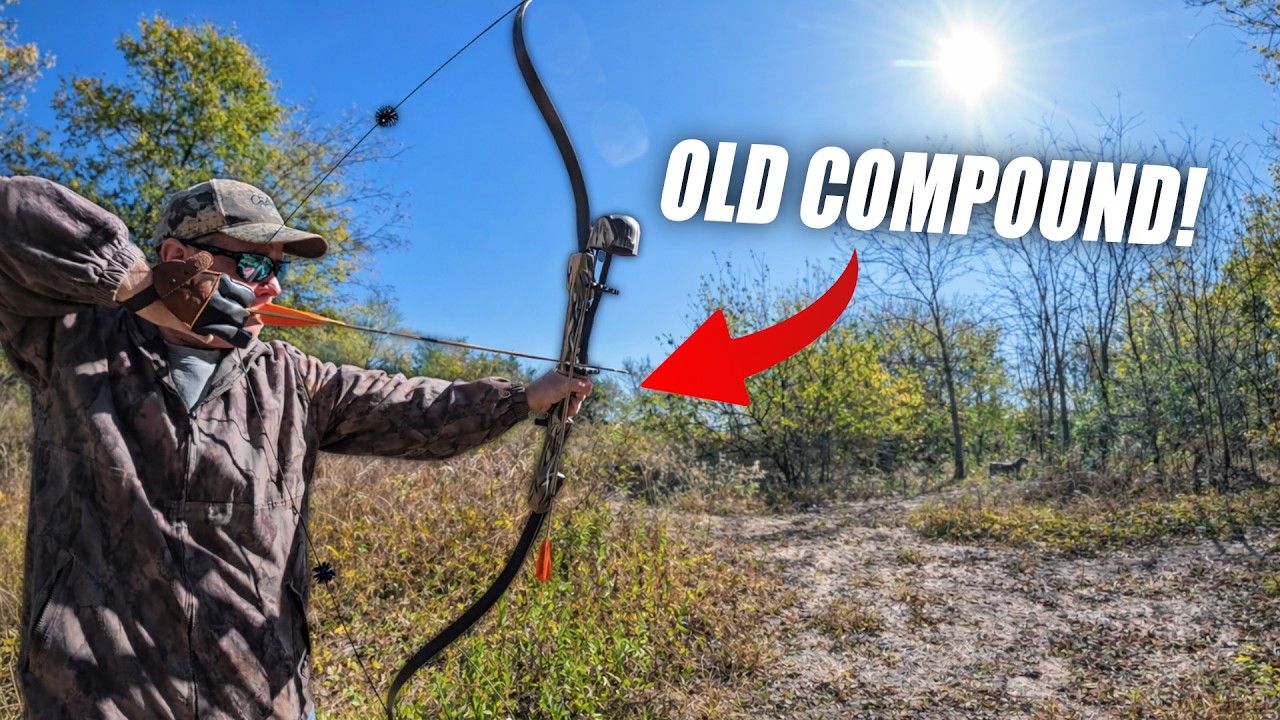 I Built a Recurve from an Old Hoyt Compound Bow | Warf bow | Traditional Archery