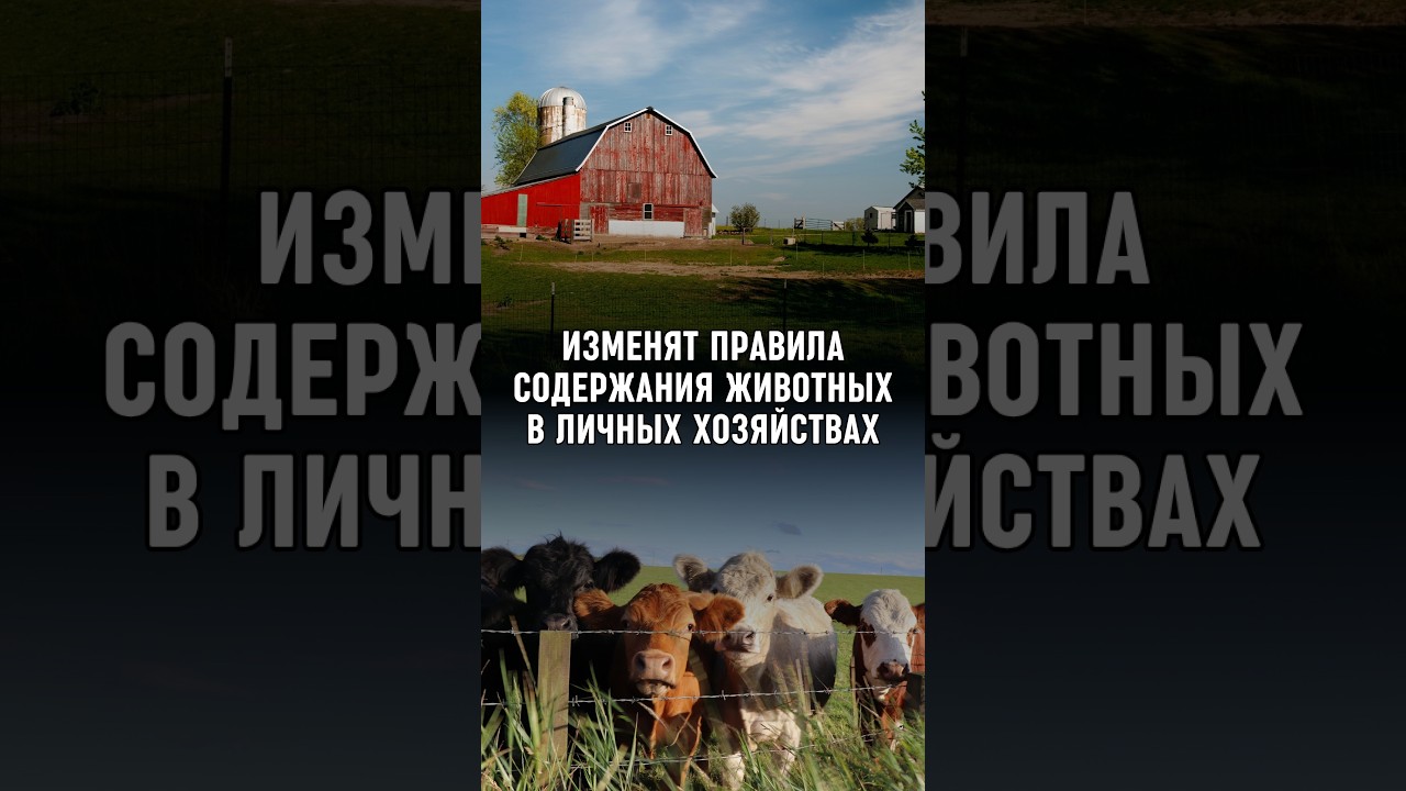 В Молдове изменят правила содержания животных в личных хозяйствах