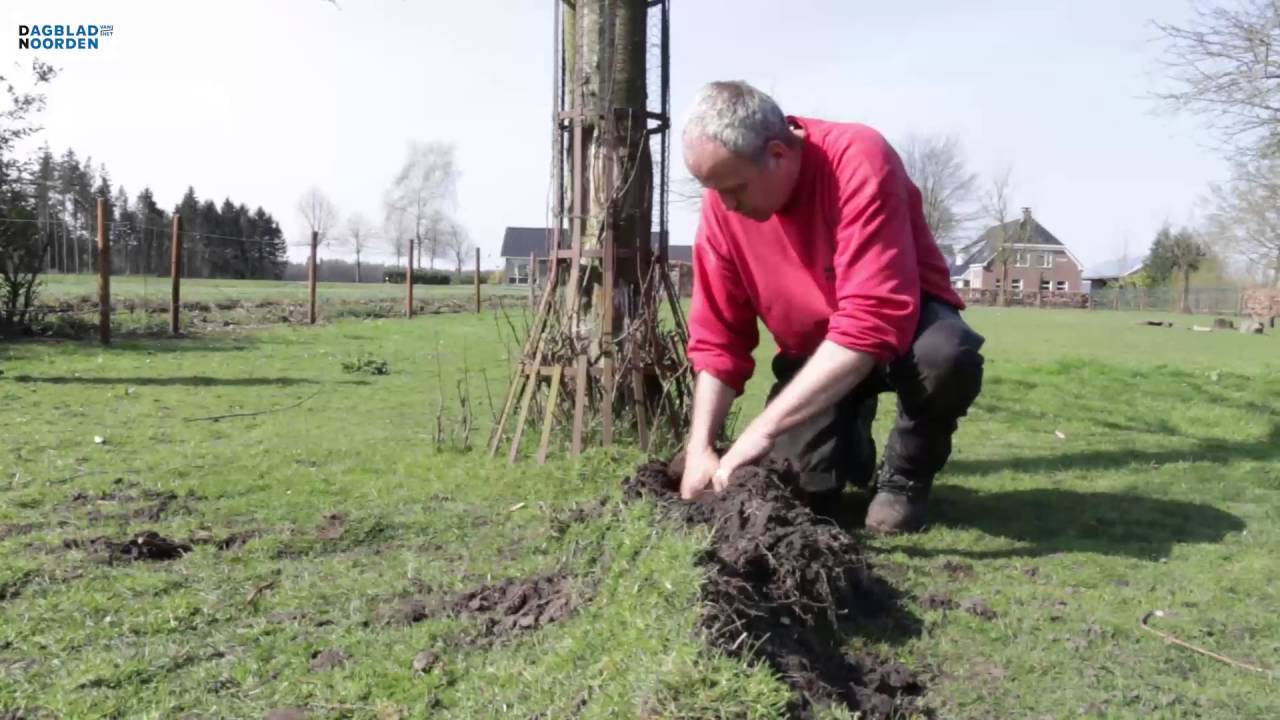 Bijzondere blikseminslag in Odoorn