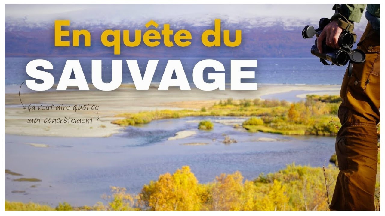Documentaire - 