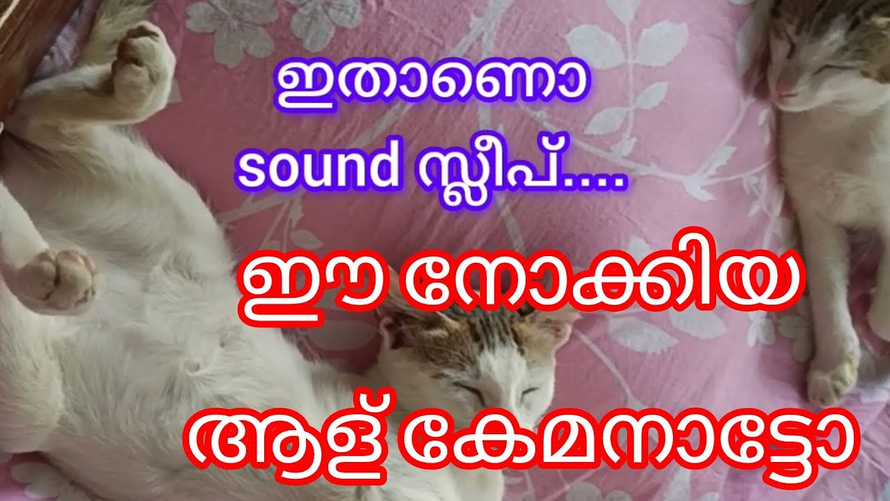 ഈ നോക്കിയ ആള് കേമനാട്ടോ /malayalam 