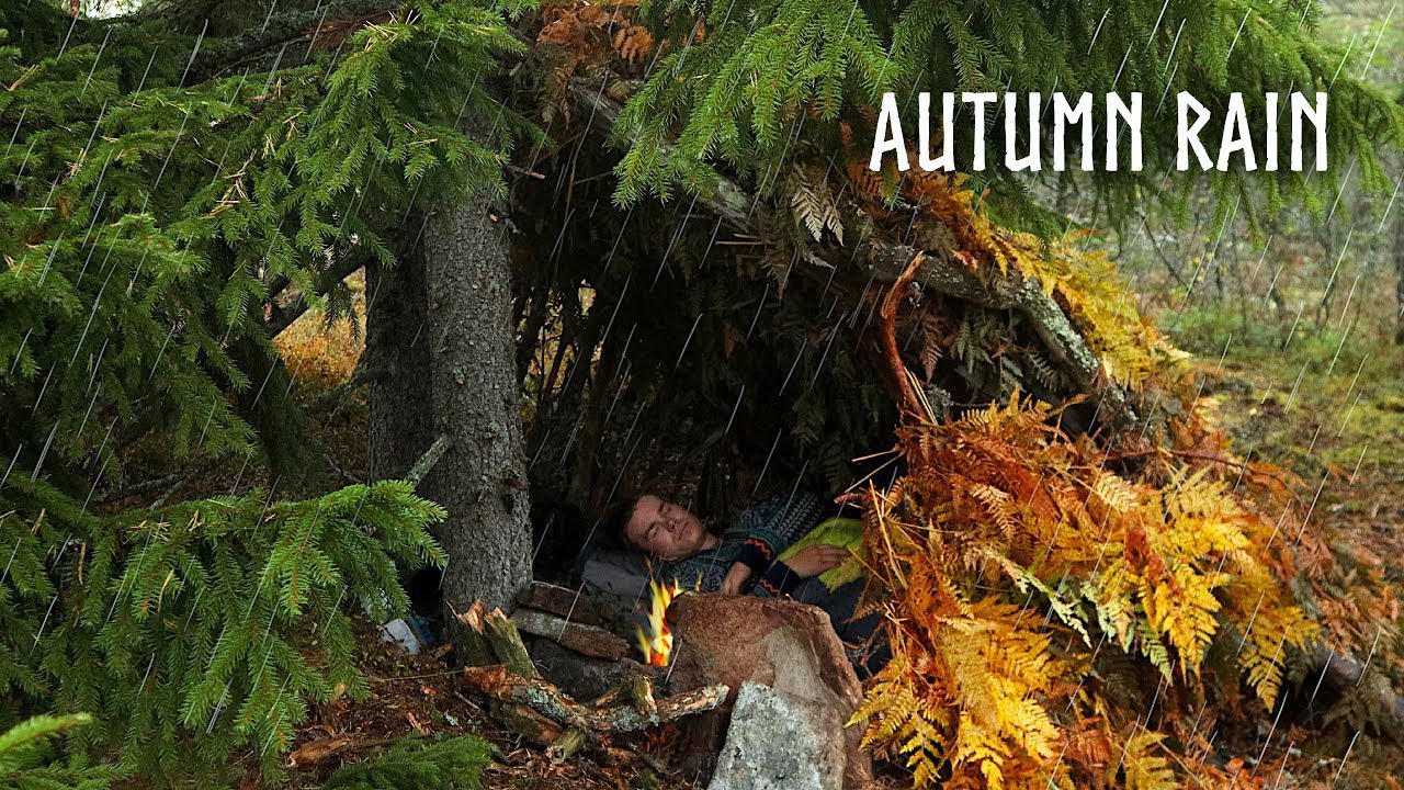 CAMPING in RAIN:  Bushcraft Solo Survival Shelter in soothing autumn rain