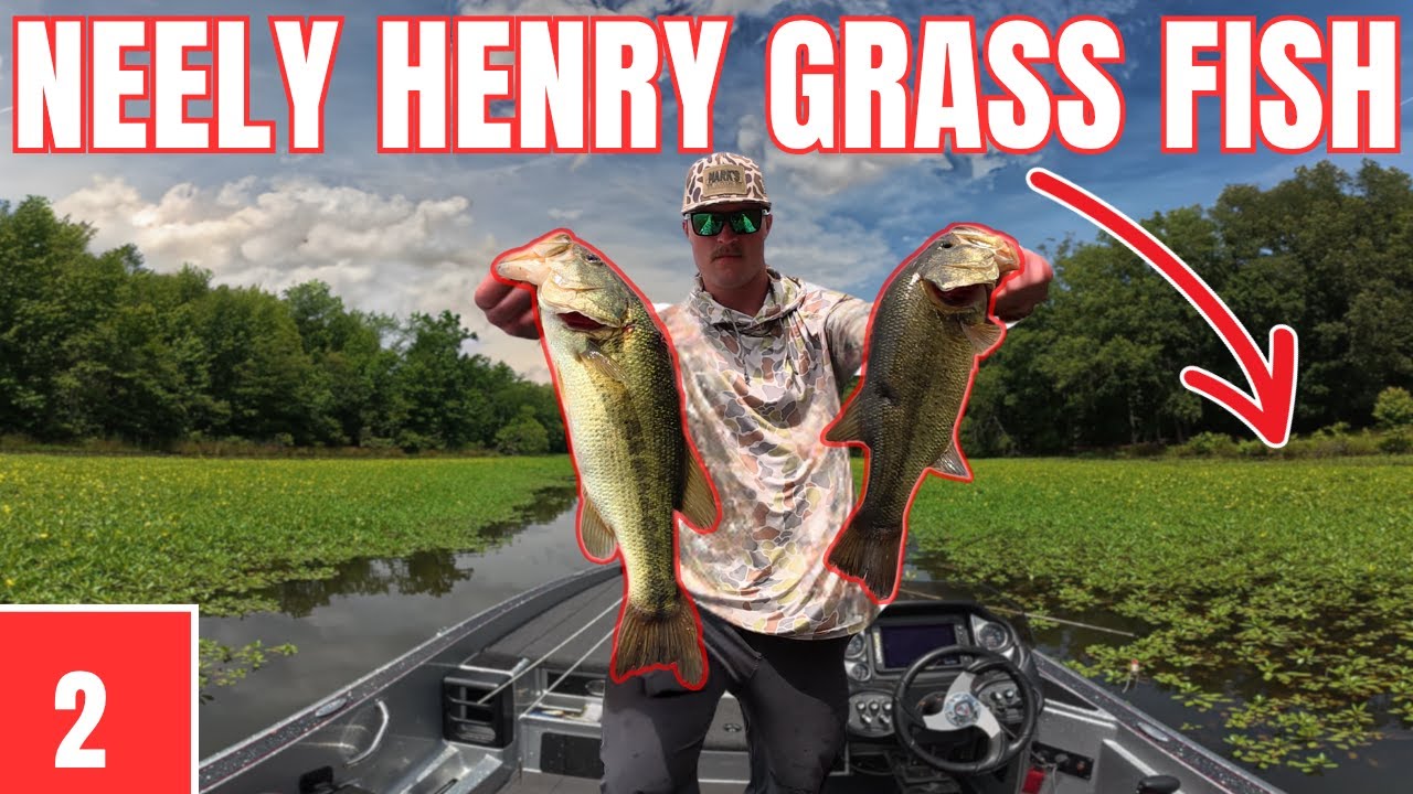 Chasing Giant Bass In The Grass Of Neely Henry | Casting The Coosa Ep. 2