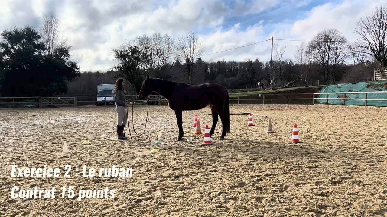 Equifeel virtuel Caval Go 2026 Manche 1 