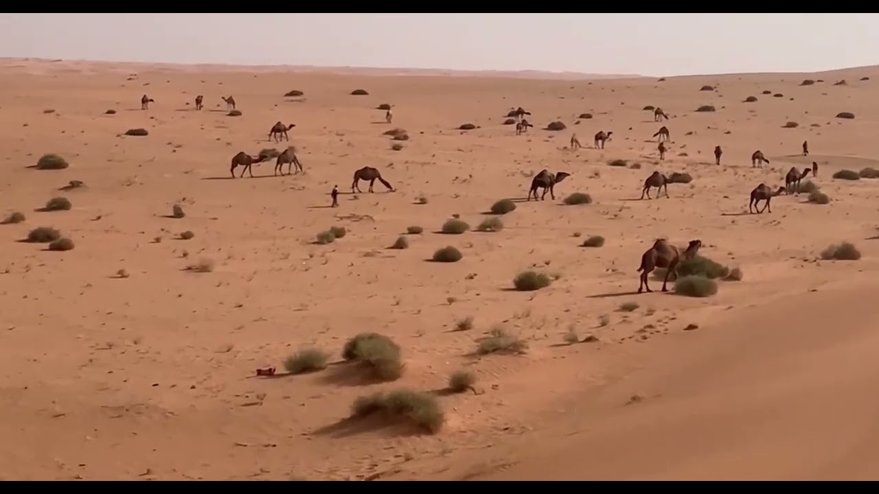 ياسعود ماهو كذا ياسعود:كلمات وأداء/عبدالله عيد المرواني.