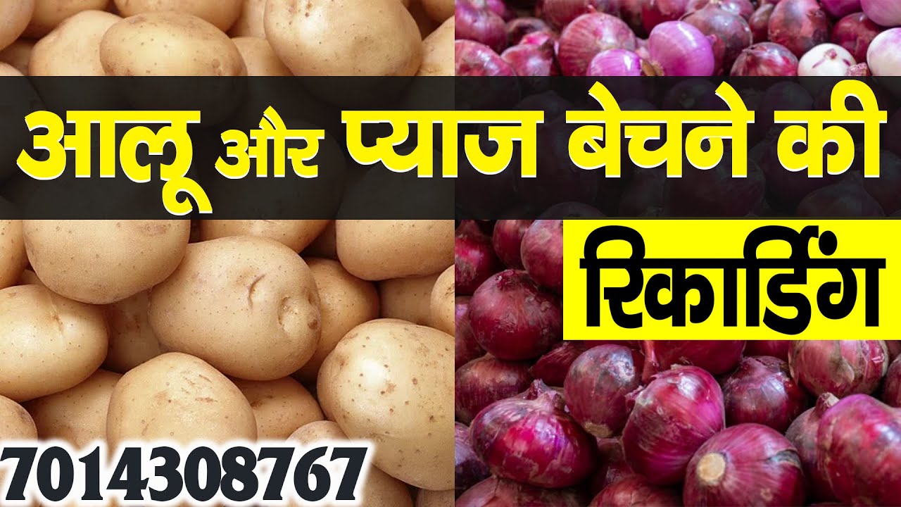 [ हिंदी ] आलू और प्याज की रिकॉर्डिंग I Aloo Or Pyaj Audio Recording I आलू प्याज का ऑडियो प्रचार