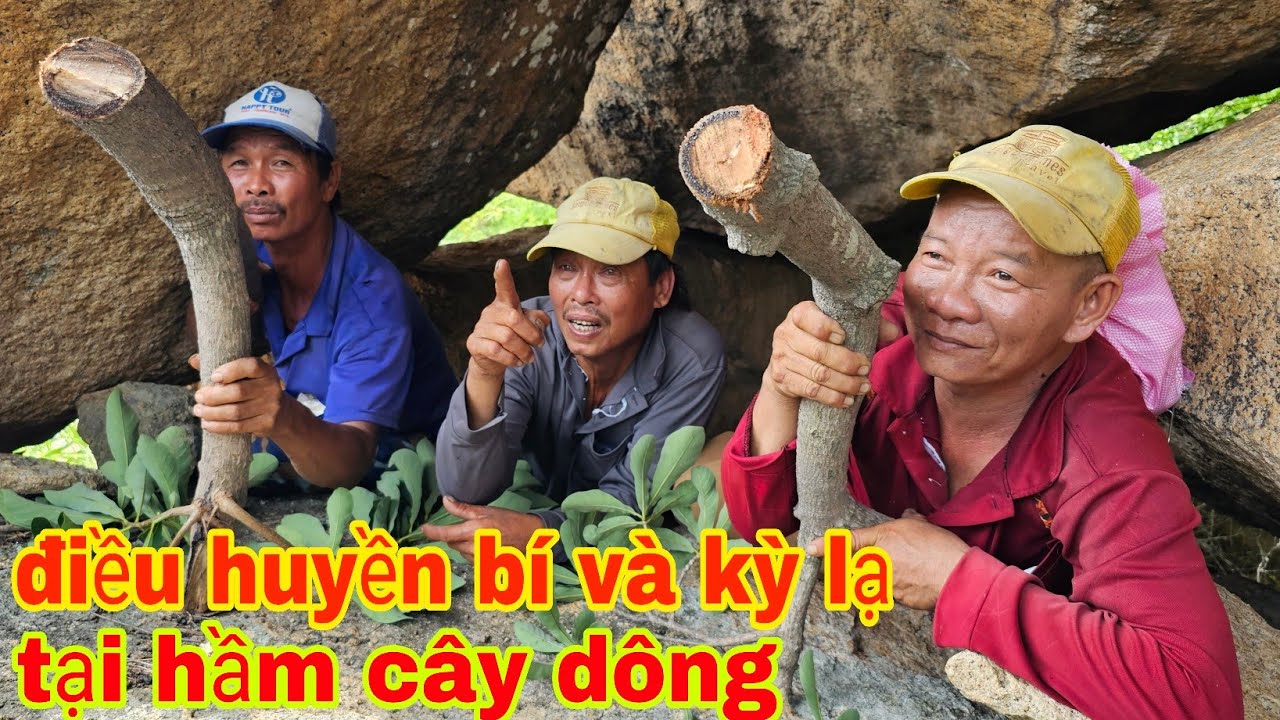 Điều kỳ lạ và huyền bí tại hầm cây dông 