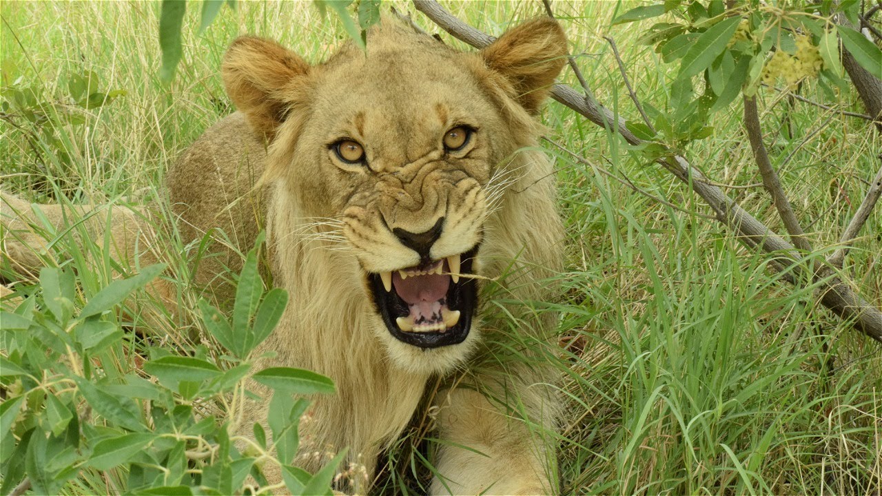 Marakele National Park