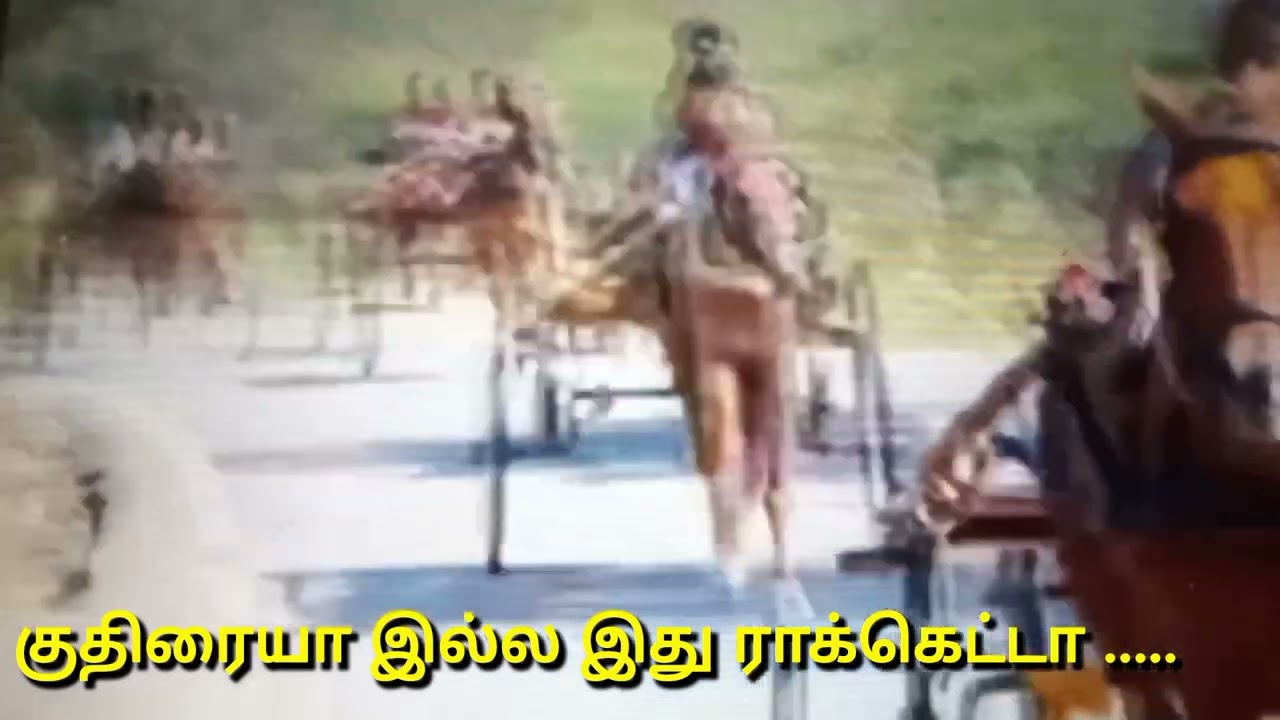 இதுவரை காணாத குதிரை வண்டி பந்தயம்