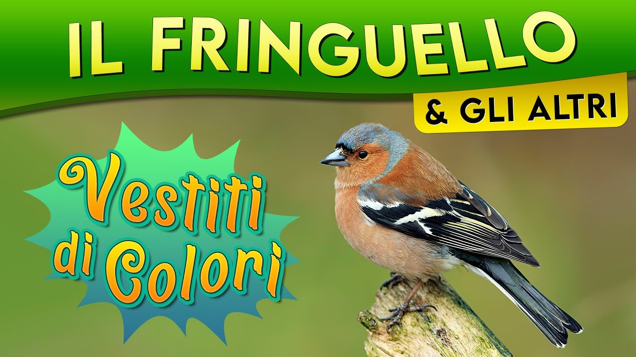 Il Fringuello e gli altri: vestiti di colori ► Puntata 59