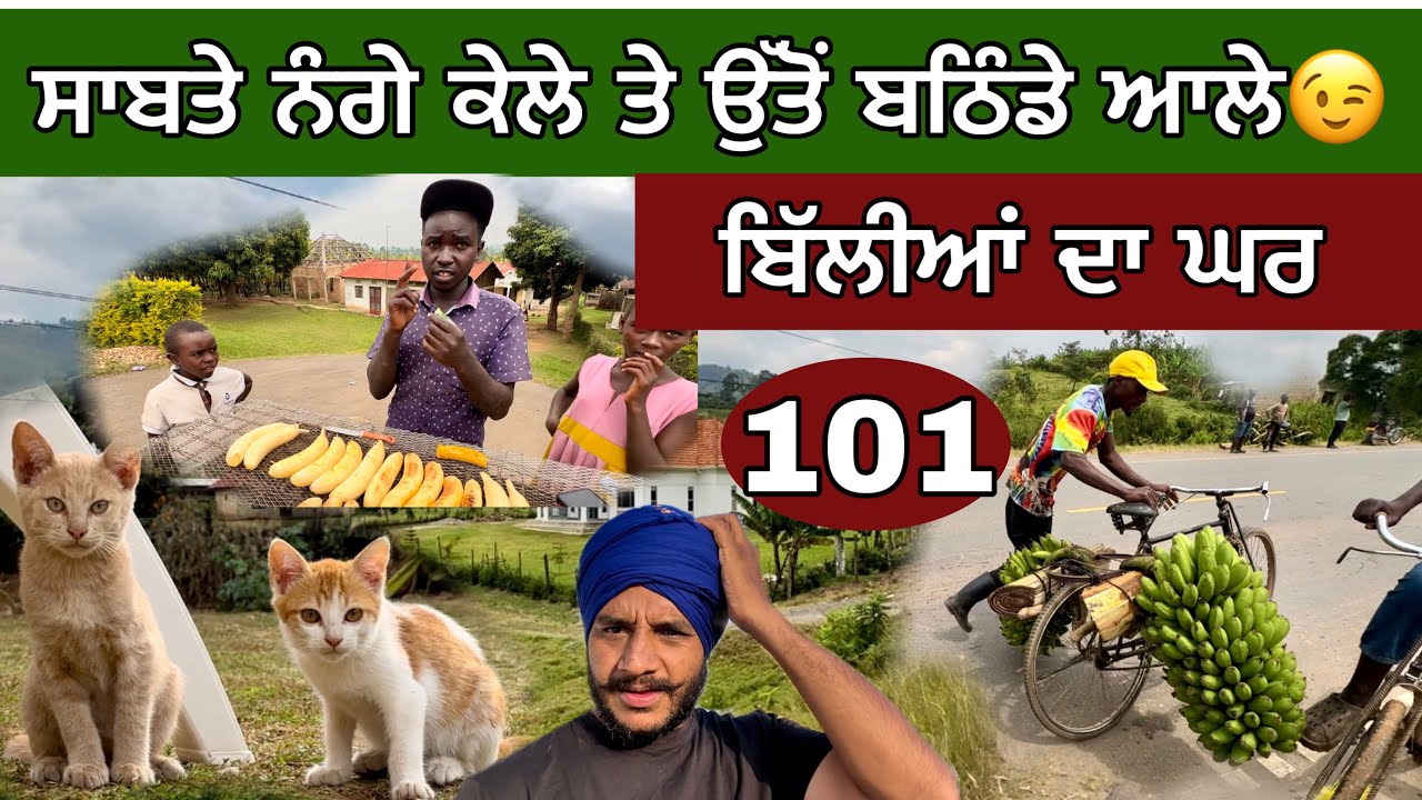 ਰੜ੍ਹੇ ਸਾਬਤੇ ਕੇਲੇ ਵਰਸਜ਼ ਬਠਿੰਡਾ 😃। ਬਿੱਲੀਆਂ ਦਾ ਘਰ। Cycling in UGANDA 🇺🇬