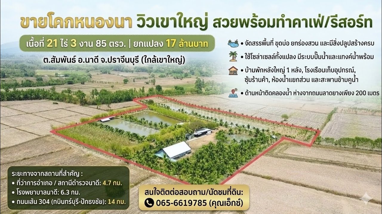 ขายโคกหนองนาทำเป็นคาเฟ่วิวเขาใหญ่ 21ไร่ 3งาน 85ตรว.ยกแปลง 17 ล้าน ต.สัมพันธ์ อ.นาดี จ.ปราจีนบุรี