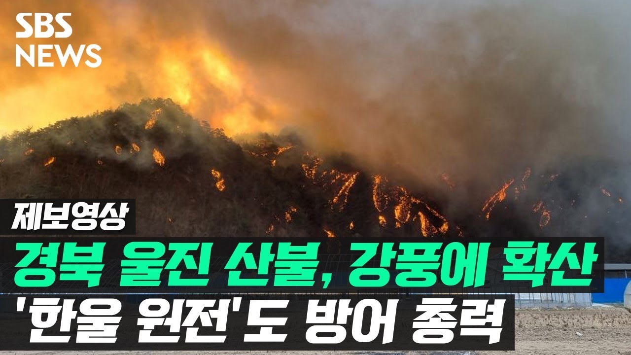 경북 울진 산불에 주민 수백 가구 대피&hellip;산림청 '산불 3단계' 발령 (제보영상) / SBS