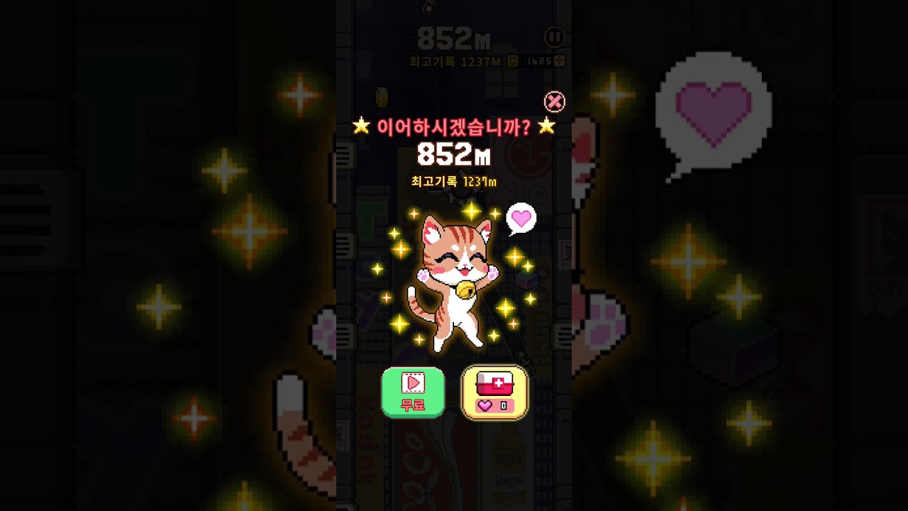캣점프 최고기록 도전기
