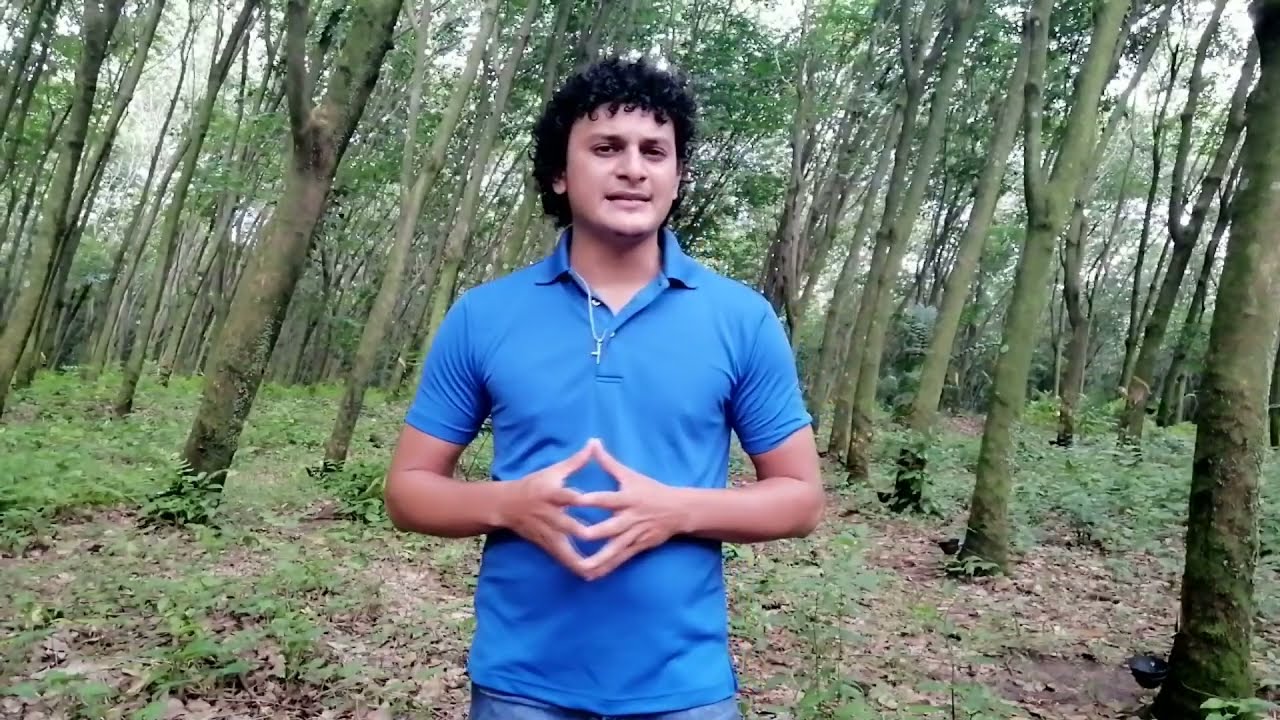 Observaci&oacute;n pasiva y activa