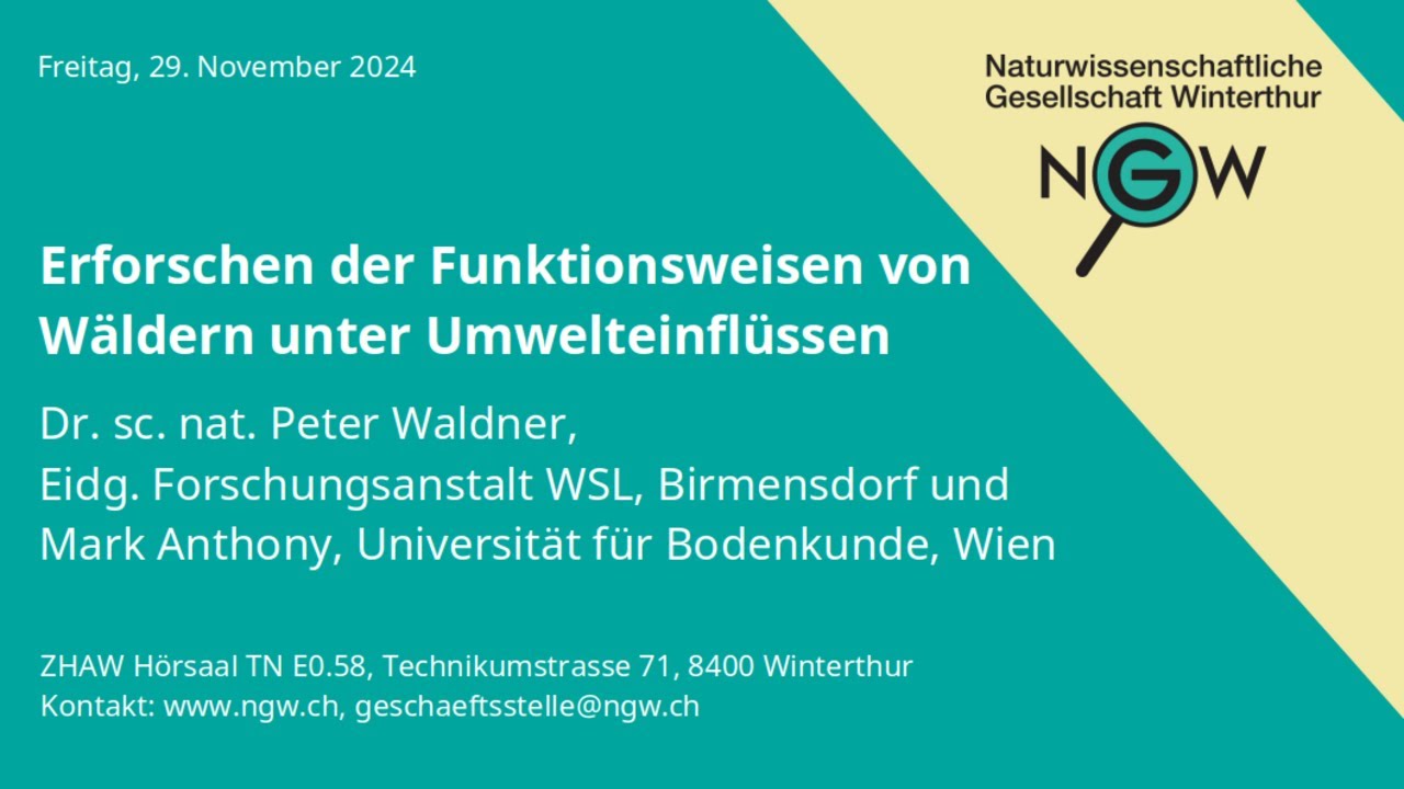 Erforschen der Funktionsweisen von W&auml;ldern unter Umwelteinfl&uuml;ssen